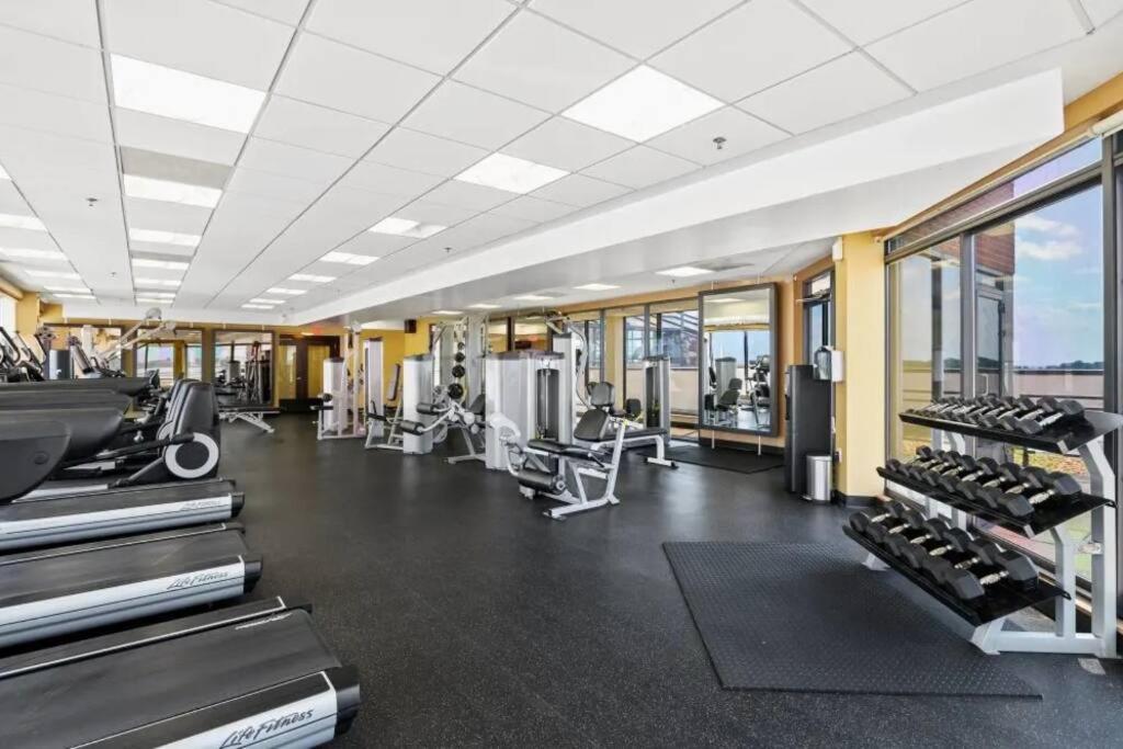 Incredible Apartment With Rooftop In Pentagon City Arlington Esterno foto